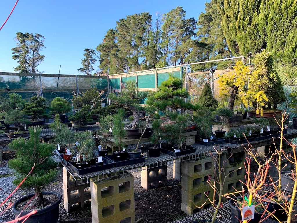 Bonsai Art Nursery |  | 236 Old Dandenong Rd, Heatherton VIC 3202, Australia | 0402096725 OR +61 402 096 725