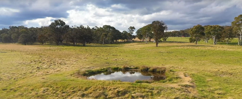 Buenpaso | 132 Perry La, Boxers Creek NSW 2580, Australia | Phone: 0405 470 808