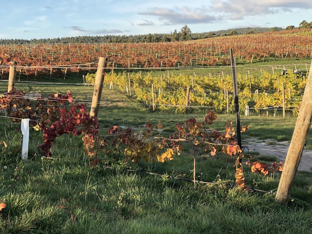 Russell and Suitor Wines | 1866 Pipers River Rd, Lower Turners Marsh TAS 7267, Australia | Phone: 0400 960 471