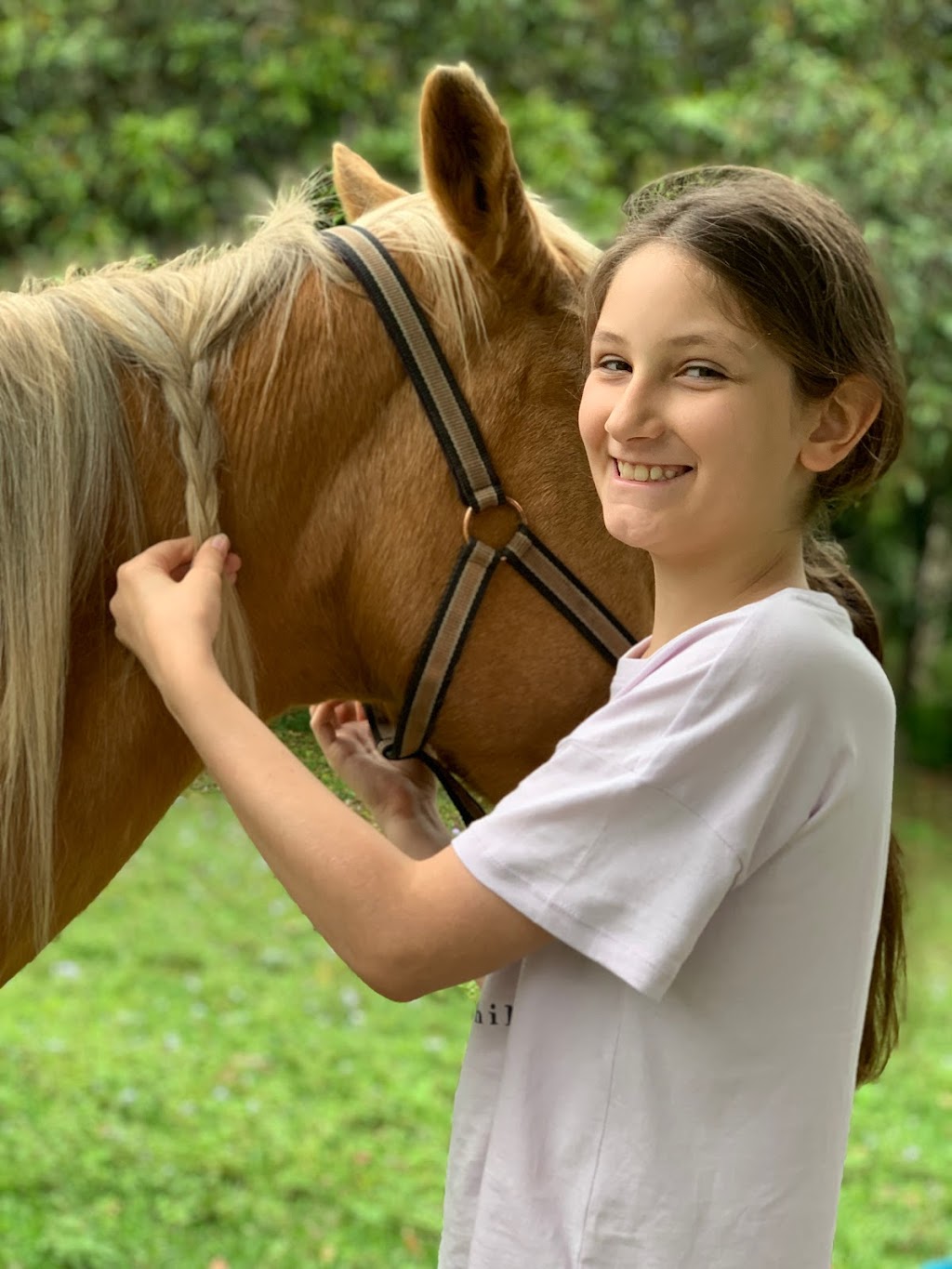 Equine Connect | 8 Andersen Rd, Mooloolah Valley QLD 4553, Australia | Phone: 0478 661 826