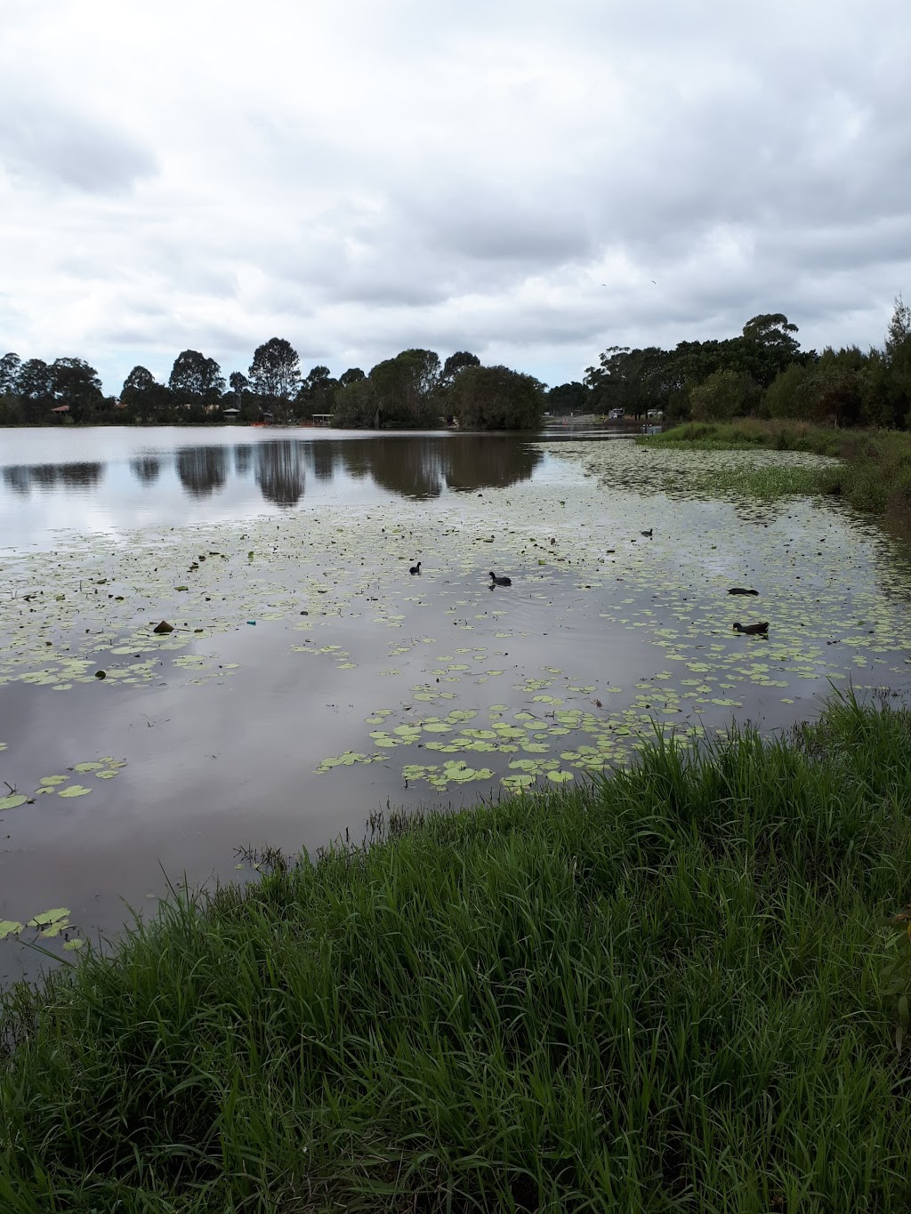 Tygum Lagoon | 16 Lagoon Rd, Waterford West QLD 4133, Australia | Phone: 0418 778 322