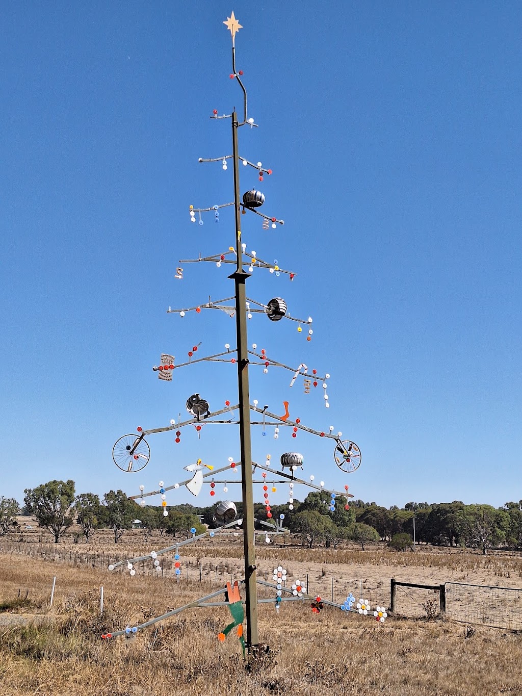 Cross Roads Tree | Cross Roads VIC 3373, Australia | Phone: 1300 797 363