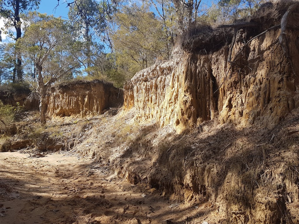 Werakata National Park | Lovedale NSW 2325, Australia | Phone: (02) 6574 5555