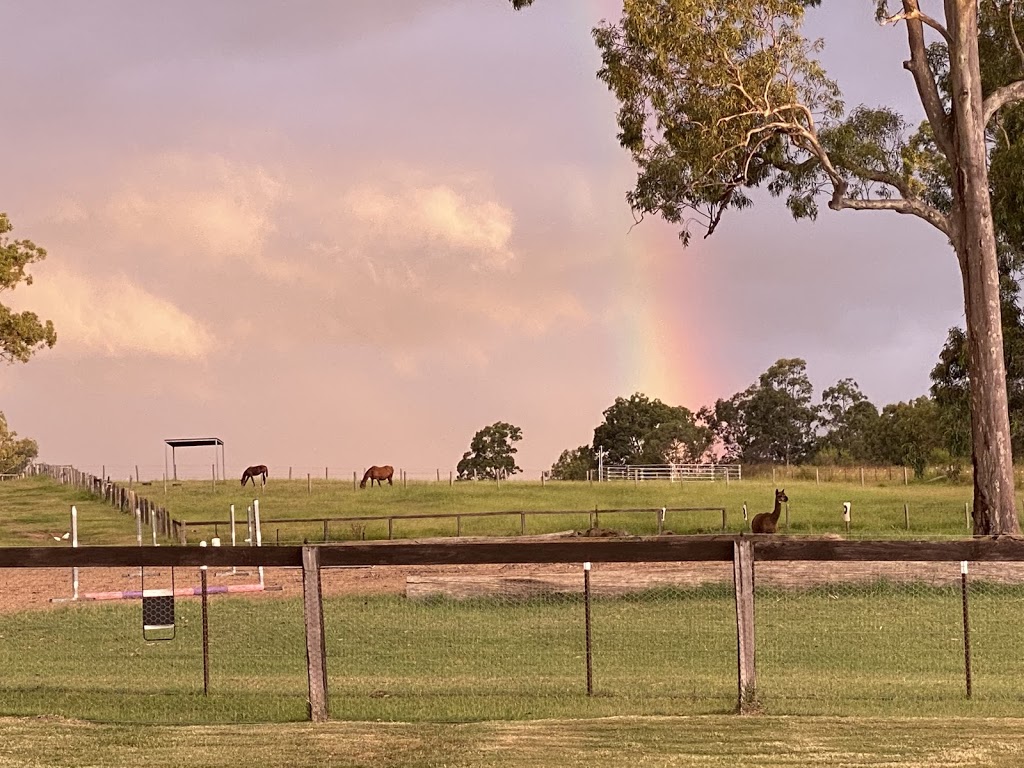 Kaysadale Farm | 709 Old N Rd, Allandale NSW 2320, Australia | Phone: 0414 899 965