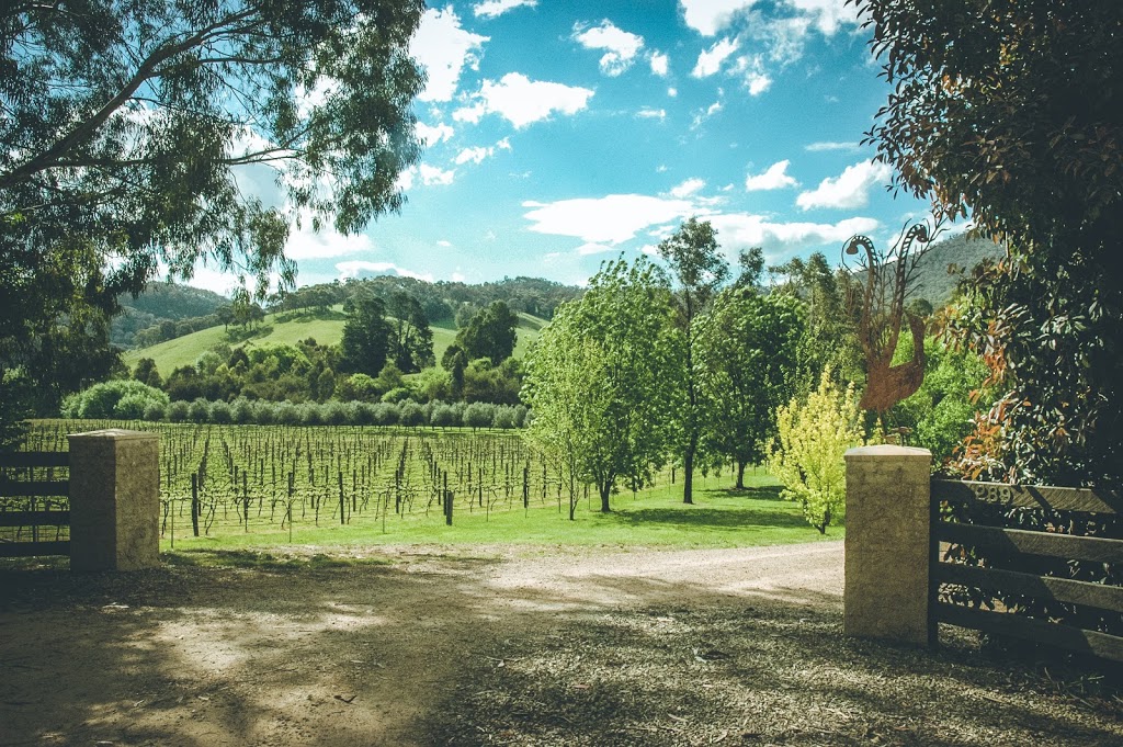 Mount Terrible Wines | 289 Jamieson-Licola Rd, Jamieson VIC 3723, Australia | Phone: 0429 406 037