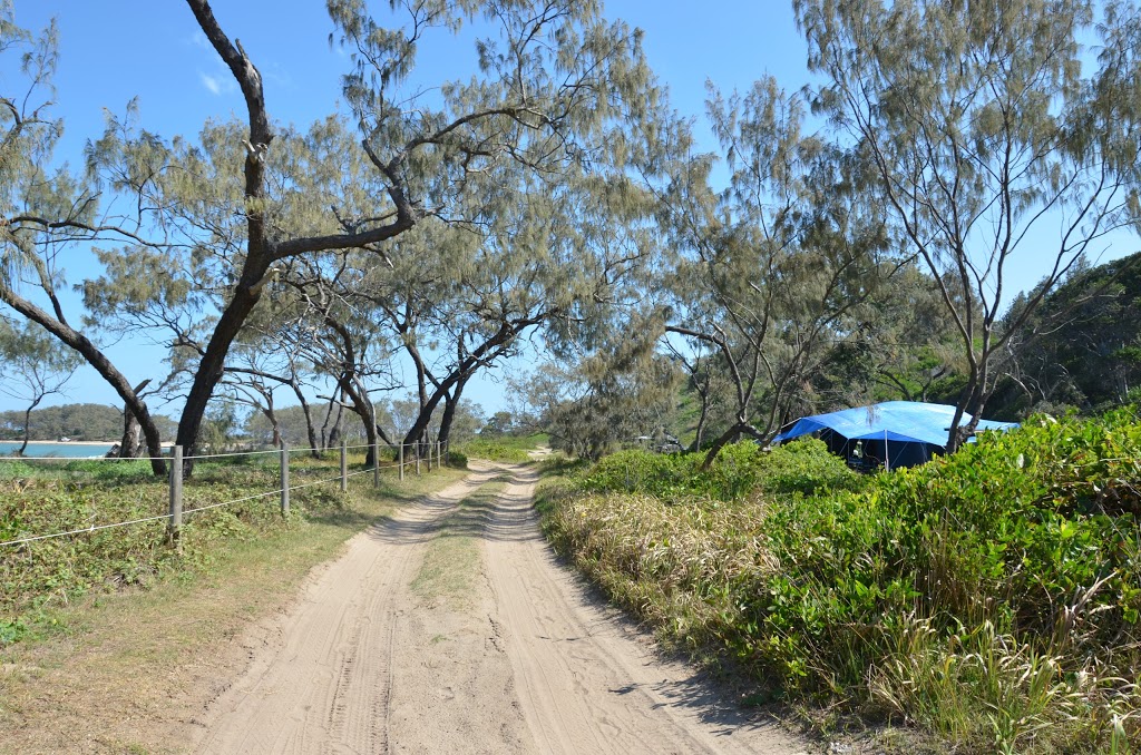 Pebbly Beach Campground | Yuraygir National Park, Diggers Camp NSW 2462, Australia | Phone: 1300 072 757