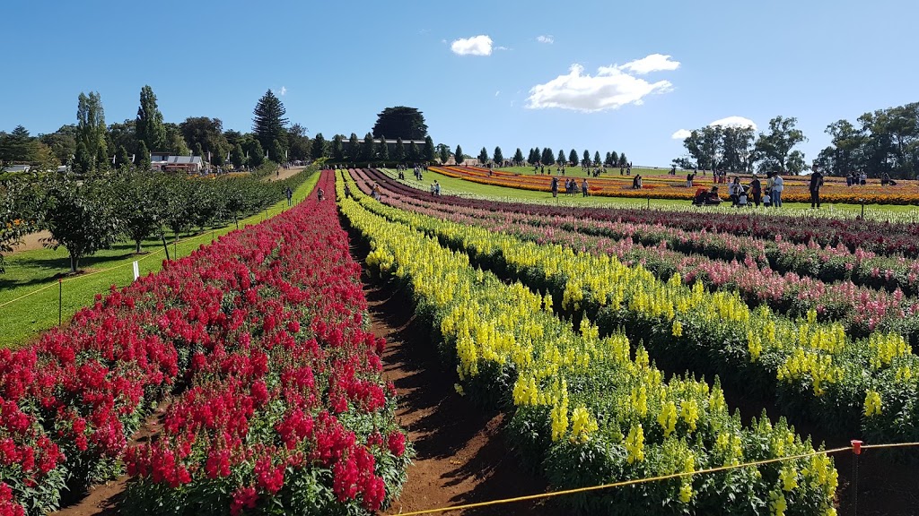 Tesselaar Gardens | park | 357 Monbulk Rd, Silvan VIC 3795, Australia