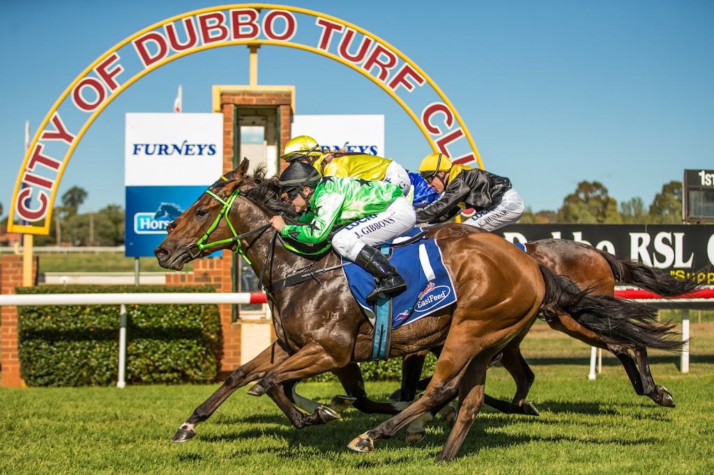 Dubbo Turf Club | Merrilea Rd, Dubbo NSW 2830, Australia | Phone: (02) 6882 1044