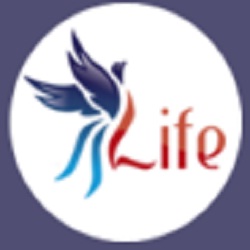 Phoenix Life Coaching | 19 Quayside Mews, Hillarys WA 6025, Australia | Phone: 0431 638 080