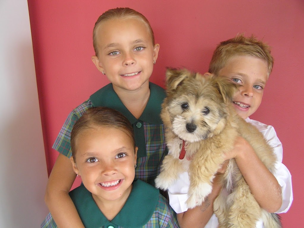 Dr Cameron Hopkins - Chiro 4 Family Wellness | Suite 61 990/972 Old Princes Hwy, Engadine NSW 2233, Australia | Phone: (02) 8521 6561