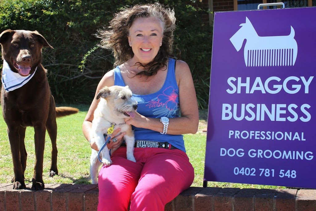 Shaggy Business Professional Dog Grooming | 6 Bayvue Cl, Carrickalinga SA 5204, Australia | Phone: 0402 781 548