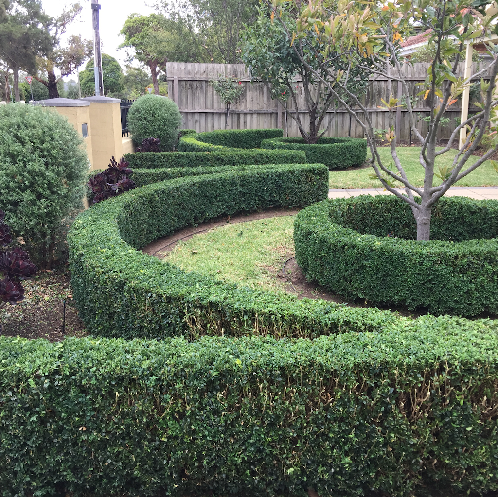 Wiseharts Innovative Gardens | park | 13 Sherbourne Terrace, Newtown VIC 3220, Australia | 0419483917 OR +61 419 483 917