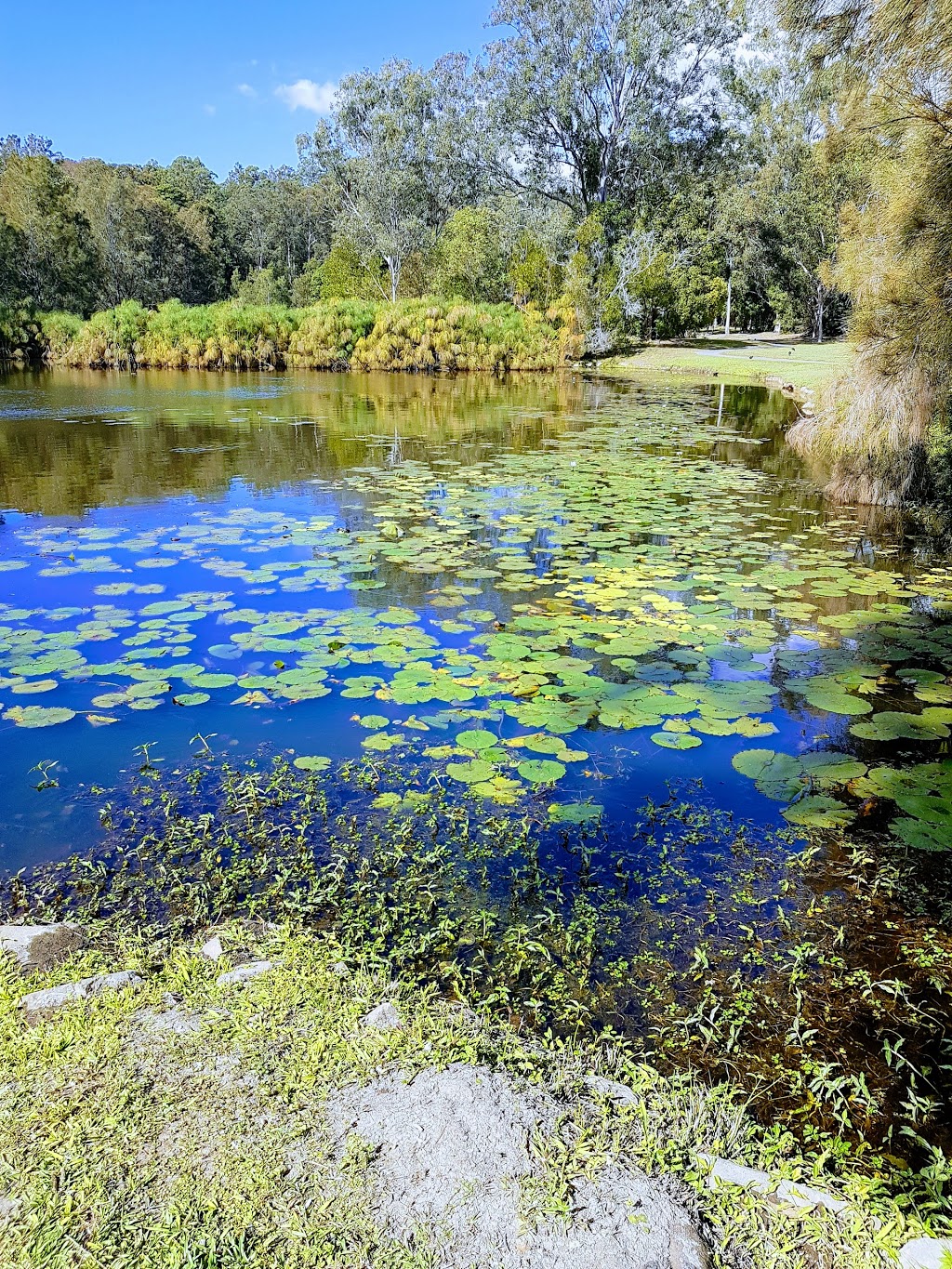 Eddie Kornhauser Recreational Reserve | park | 44-50 Casuarina Dr, Elanora QLD 4221, Australia