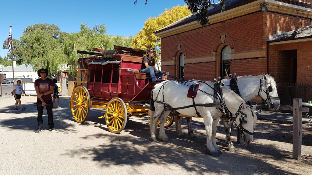 Echuca Paddlesteamers | travel agency | 30 Murray Esplanade, Echuca VIC 3564, Australia | 0354812832 OR +61 3 5481 2832