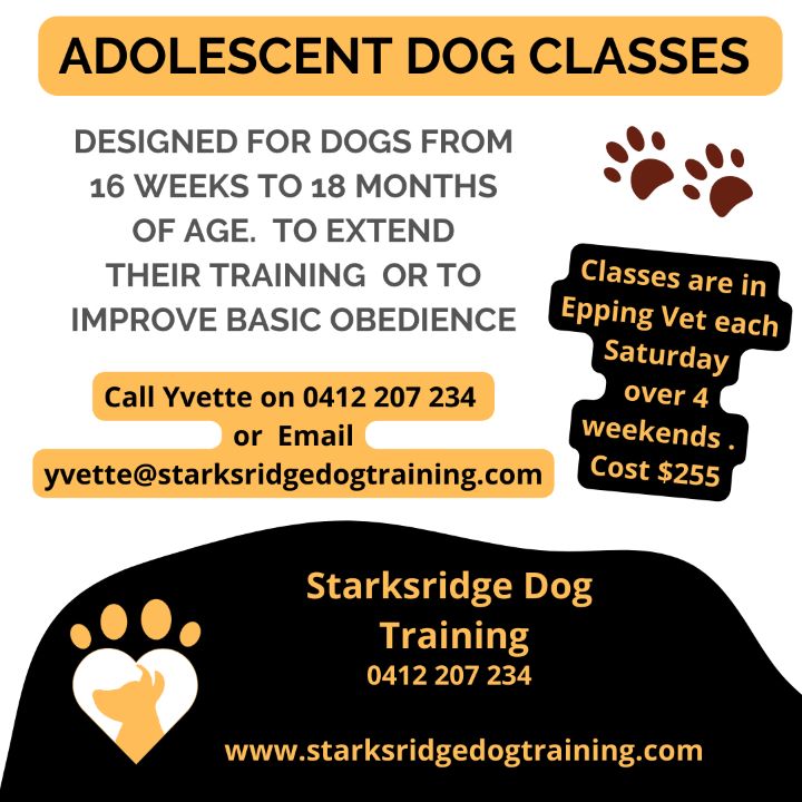 Starksridge Dog Training | 65a Epping Ave, Eastwood NSW 2122, Australia | Phone: 0412 207 234