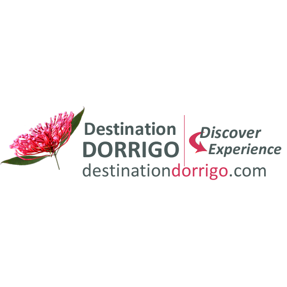 Dorrigo Trout Fishing Dorrigo Site 1 | Waterfall Way, Dorrigo NSW 2453, Australia | Phone: (02) 6657 5388