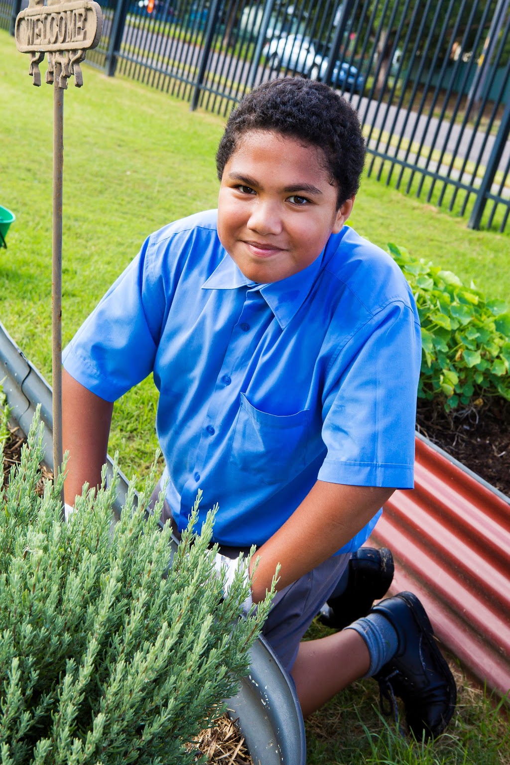 Our Lady of Lourdes Primary School | school | Anderson Dr, Tarro NSW 2322, Australia | 0249661302 OR +61 2 4966 1302