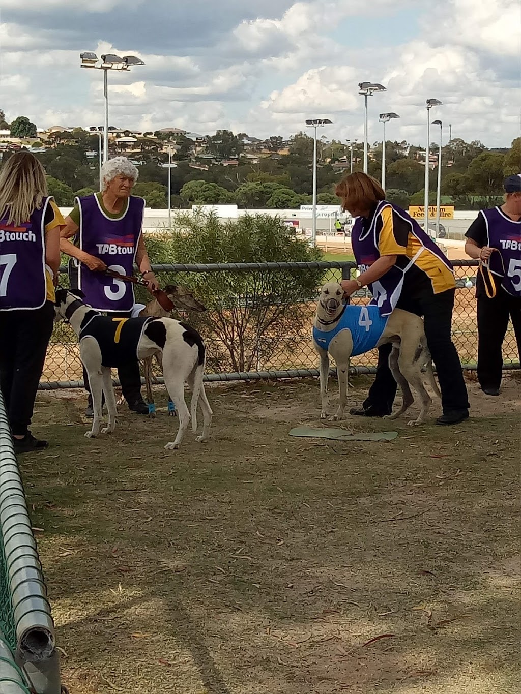 Avon Valley Greyhound Racing Association | Burwood Park Clarke St, Northam WA 6401, Australia | Phone: (08) 9622 5794