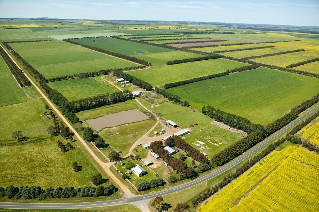 Murnong Farming | 1440 Inverleigh-Winchelsea Rd, Inverleigh VIC 3321, Australia | Phone: (03) 5265 1255