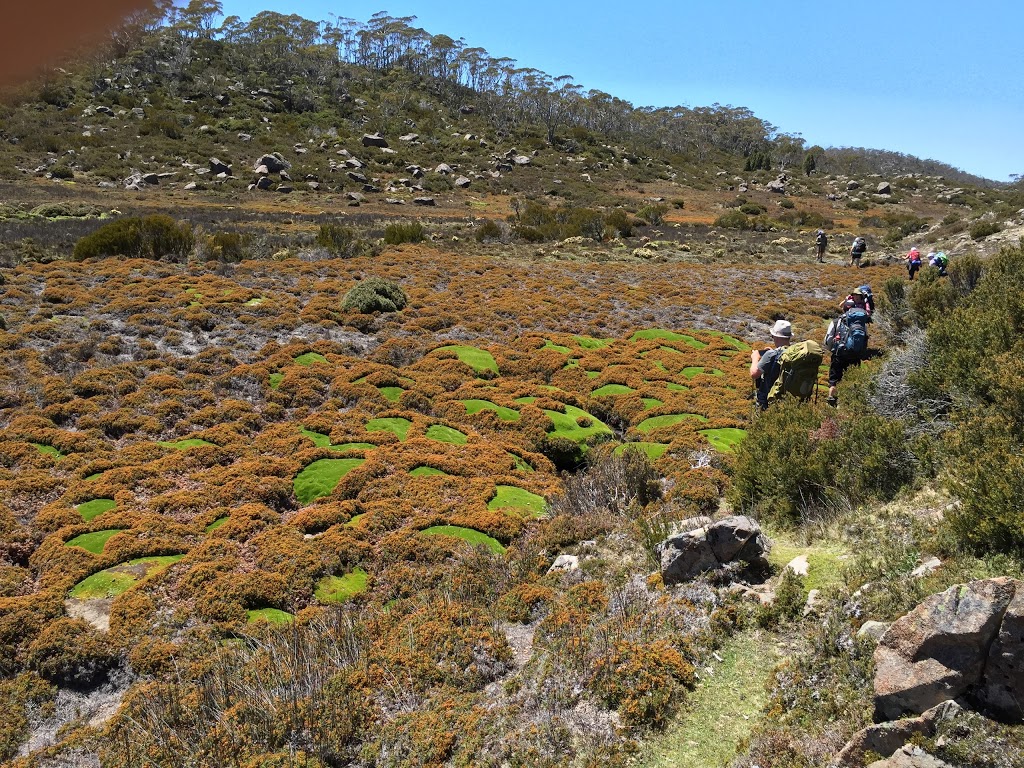 Walls of Jerusalem National Park | Walls of Jerusalem TAS 7304, Australia | Phone: 1300 135 513