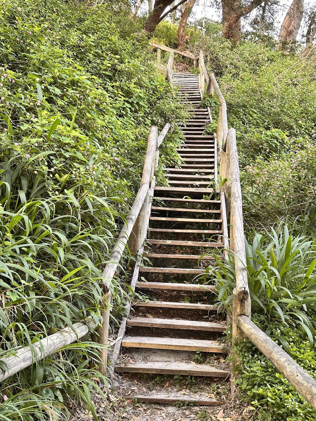 Dutchies Dream | 59 Christmas Bush Ave, Nelson Bay NSW 2315, Australia | Phone: (02) 4044 5021