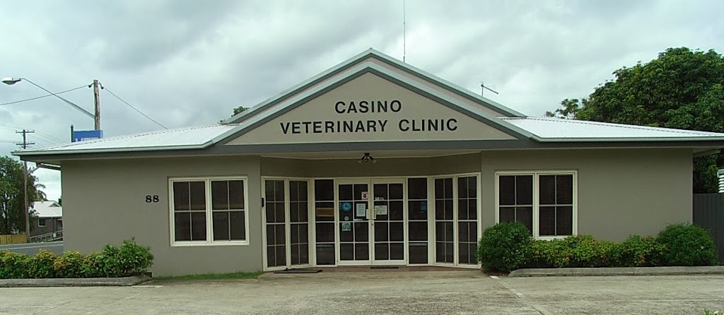 Casino Veterinary Clinic | veterinary care | 88 North St, Casino NSW 2470, Australia | 0266622488 OR +61 2 6662 2488