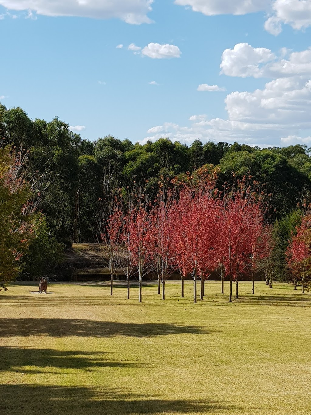 The Garden Vineyard | 174 Graydens Rd, Moorooduc VIC 3933, Australia | Phone: (03) 5978 8661