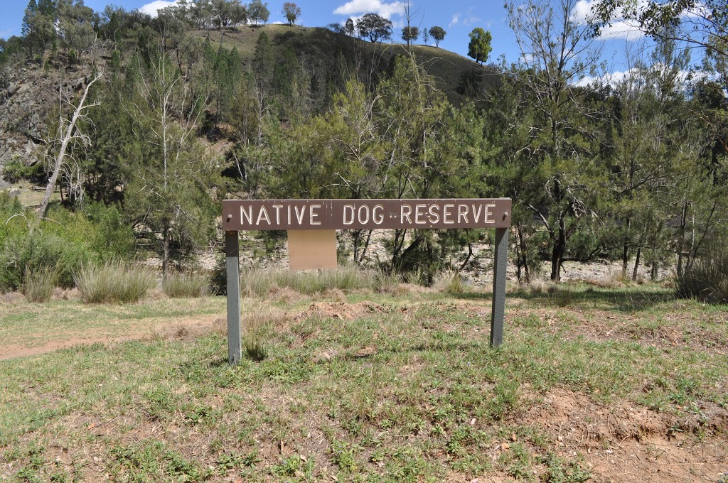 Native Dog Reserve | The Bridle Track, Bruinbun NSW 2795, Australia