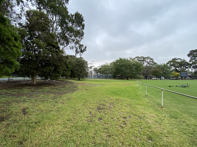 Waverley Park Dog Off Leash Area | 1 Sylvester Cres, Malvern East VIC 3145, Australia | Phone: 0408 114 414