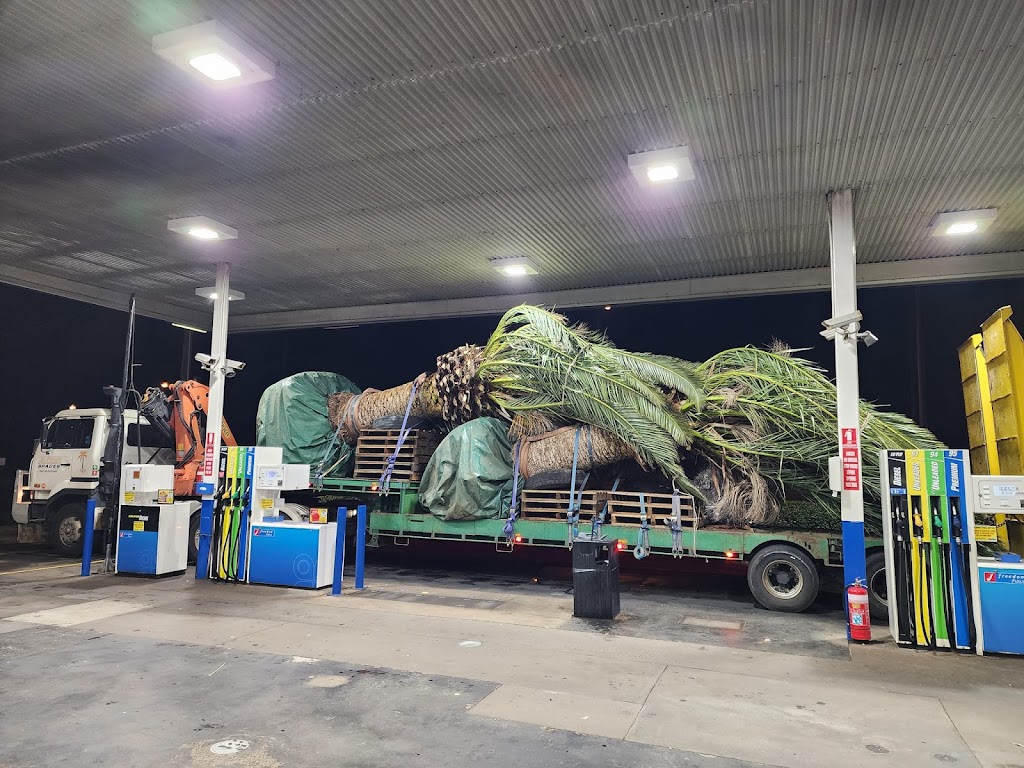 Ace of Spades Tree Relocators | 811 Toowoomba Connection Rd, Withcott QLD 4350, Australia | Phone: 0438 383 213
