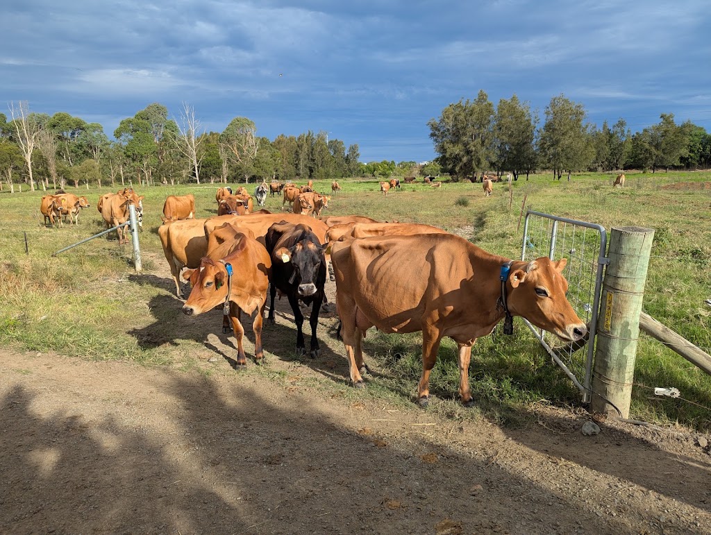 Camden Valley Farm | 8 Burragorang Rd, Cawdor NSW 2570, Australia | Phone: 0430 481 260