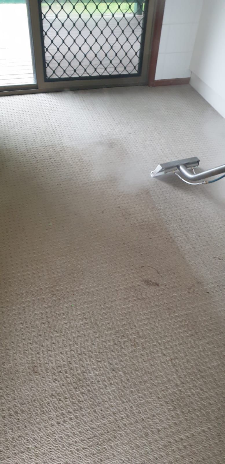 Amazing Carpet Cleaning & Pest Control Services | laundry | Rapanea St, Moggill QLD 4070, Australia | 0477657695 OR +61 477 657 695