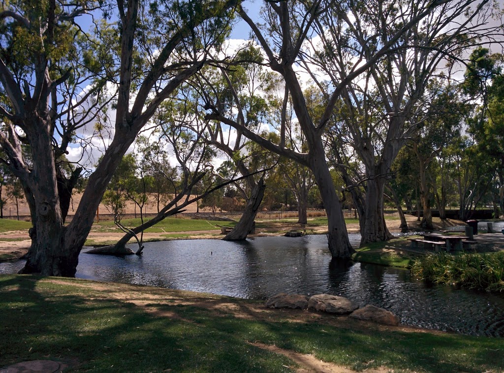 Bordertown Visitor Information Centre | 43 Woolshed St, Bordertown SA 5268, Australia | Phone: (08) 8752 1044