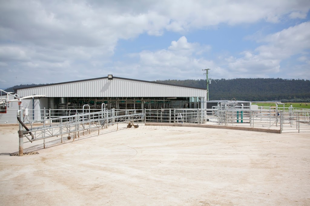 Bison Constructions Pty Ltd | 34835 Tasman Hwy, Scottsdale TAS 7260, Australia | Phone: (03) 6352 4449