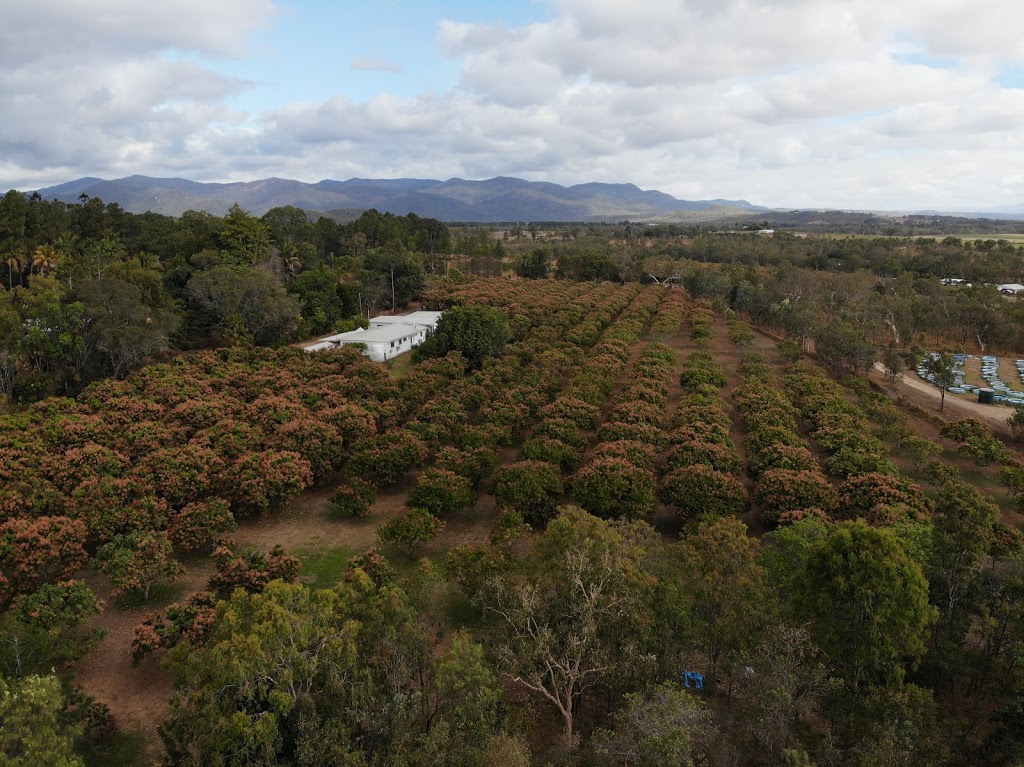 Papa Organics (Farm) | 3762 Kennedy Hwy, Mareeba QLD 4880, Australia | Phone: (07) 4093 3110