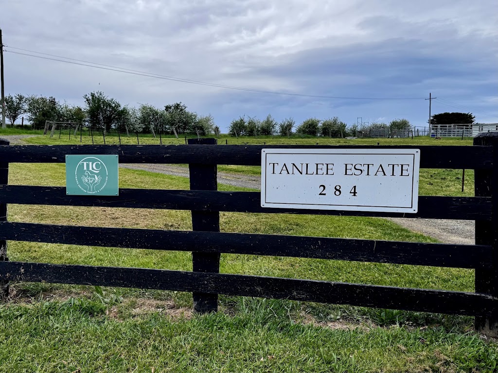 TLC Equine Assisted Therapy & Counselling | 284 Eltham-Yarra Glen Rd, Kangaroo Ground VIC 3097, Australia | Phone: 0421 918 983