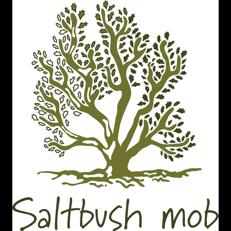Saltbush Centre - Darwin | health | Yirra House, 37 Foundation Rd, Holtze NT 0835, Australia | 1800224533 OR +61 1800 224 533
