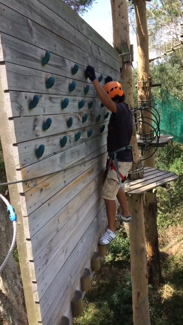 Treetops Adventure The Hills | Cumberland State Forest, 95 Castle Hill Rd, West Pennant Hills NSW 2126, Australia | Phone: (02) 9188 4051