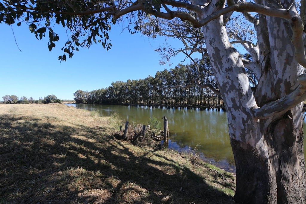 Everlasting Swamp National Park | park | Lower Southgate NSW 2460, Australia