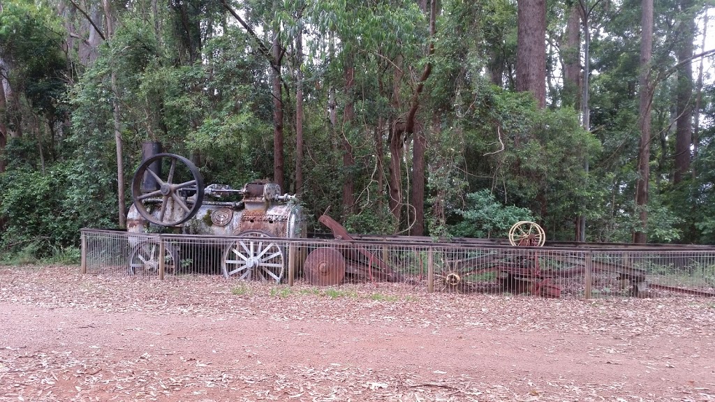 Dingo Tops campground | campground | Dingo Tops S, Dingo Forest NSW 2429, Australia | 0265524097 OR +61 2 6552 4097