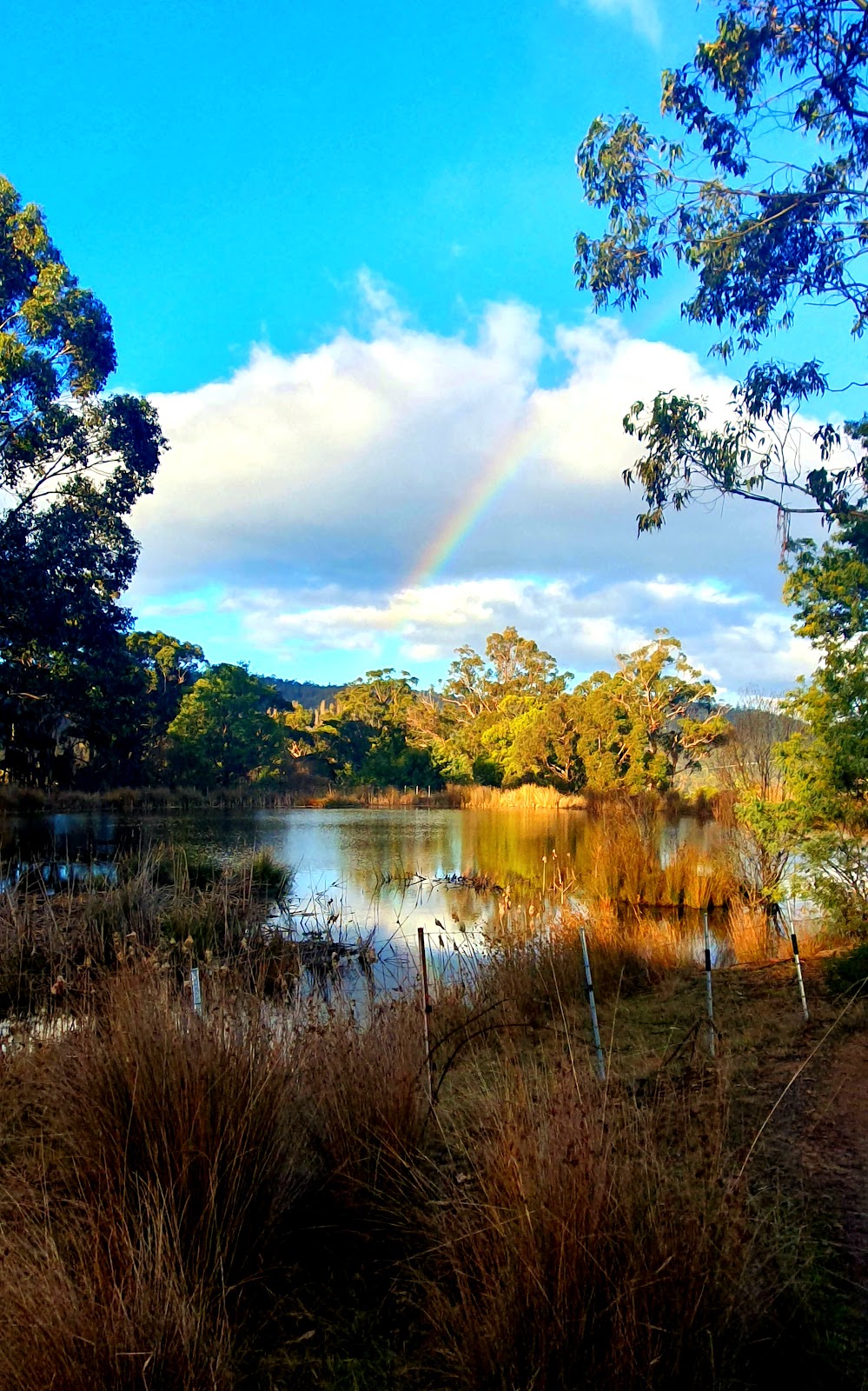 Hamlet Downs Country Hideaway | 54 Gully Rd, Fentonbury TAS 7140, Australia | Phone: (03) 6288 1212