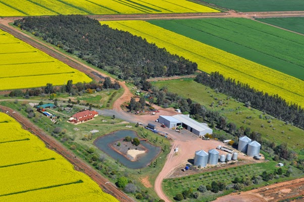 Akazien Hof Grain & Fertilizers | food | 12 Calrose Ave, Coleambally NSW 2707, Australia | 0269544473 OR +61 2 6954 4473