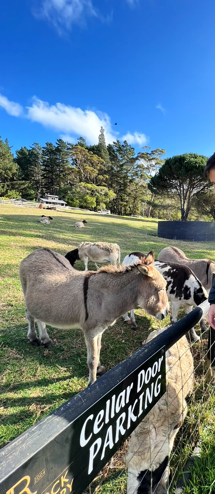 Monkey Rock Winery & Cider | 107 Wentworth Rd, Ocean Beach WA 6333, Australia | Phone: 0400 772 962