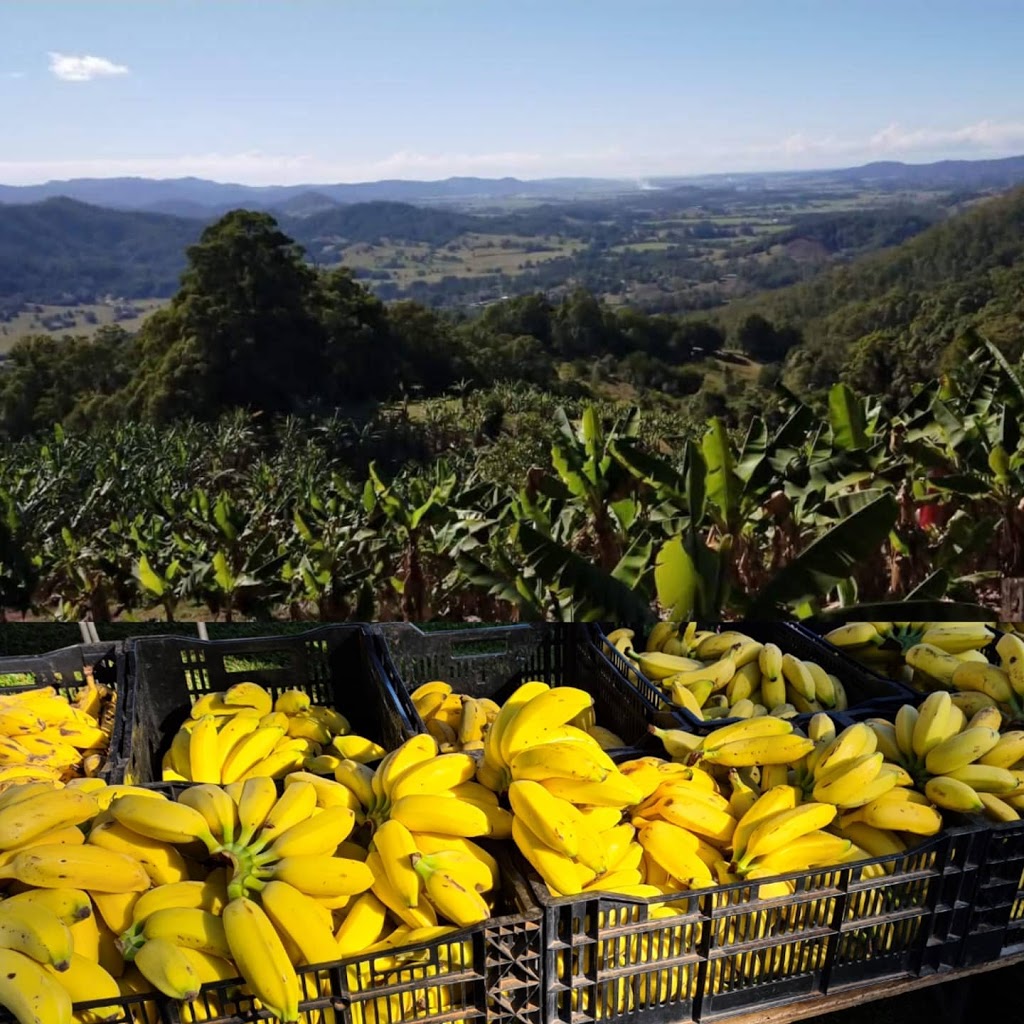 Caldera Veggieboxx Co | grocery or supermarket | Unit 15/9 Kite Cres, Murwillumbah NSW 2484, Australia | 0422651004 OR +61 422 651 004