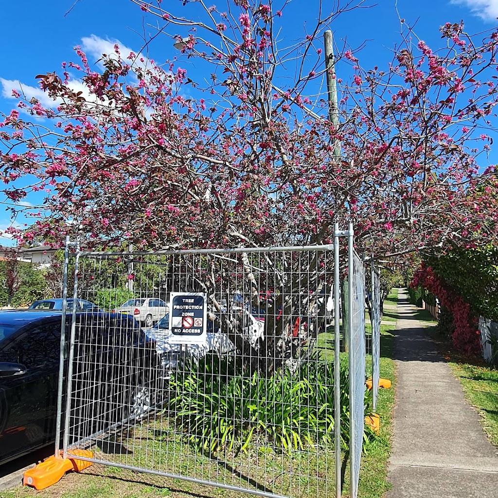 Tree Protection Australia | 10 Pitt Town Rd, Kenthurst NSW 2156, Australia | Phone: 0477 435 782