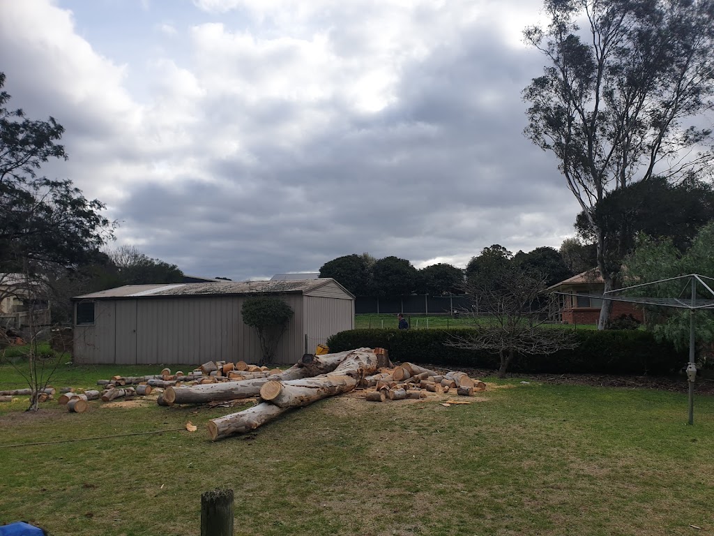 Robs Tree Service | 71 Boulton Cres, Tyers VIC 3844, Australia | Phone: 0419 519 454