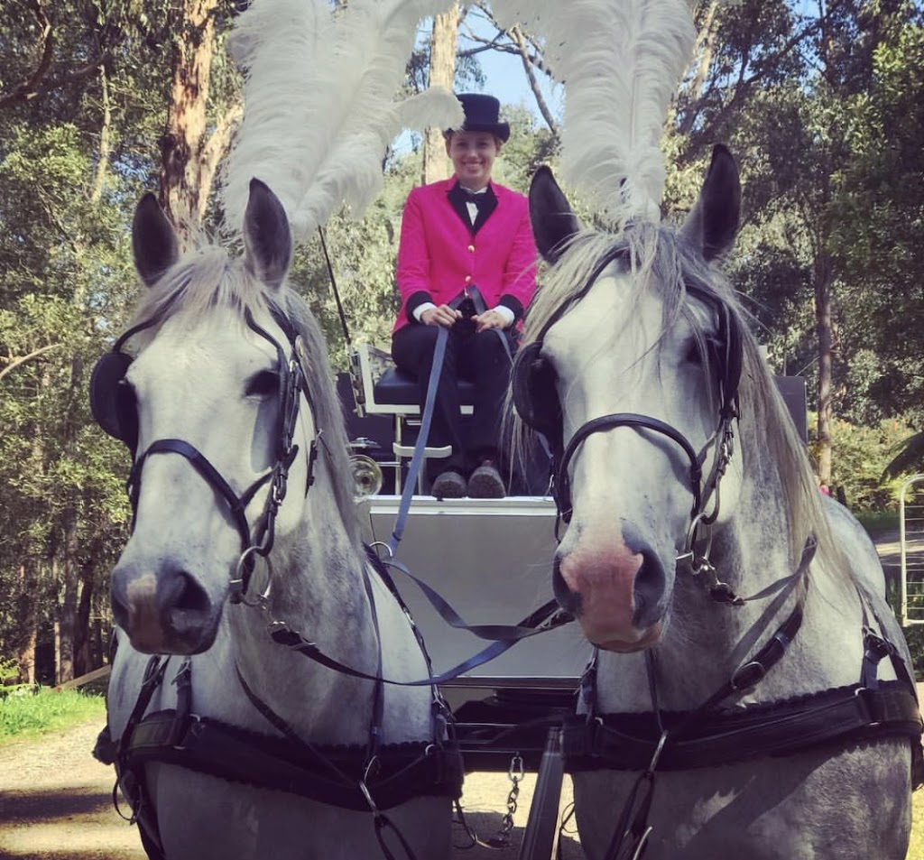 Unique Carriage Hire | travel agency | 45 Corcoran Rd, Bunyip VIC 3815, Australia | 0414752835 OR +61 414 752 835