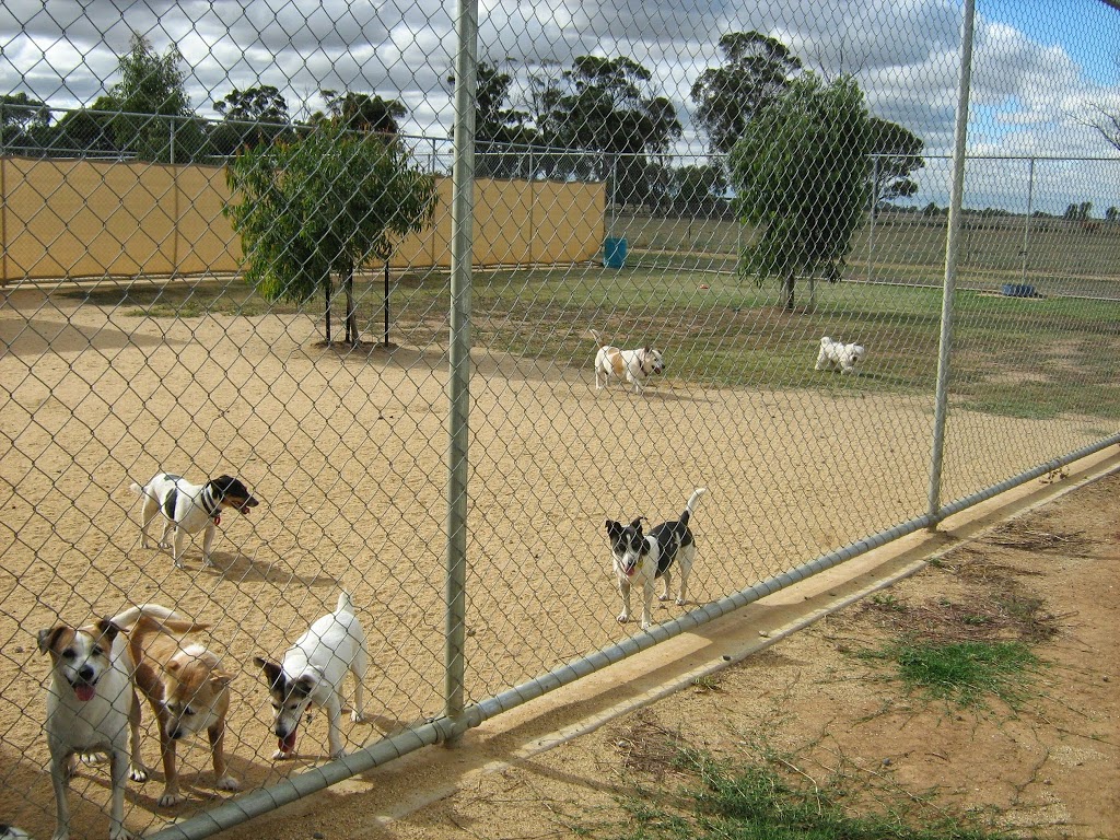 Echuca K9 Kondos Boarding Kennel | 139 Echuca West School Rd, Echuca VIC 3564, Australia | Phone: (03) 5480 7273