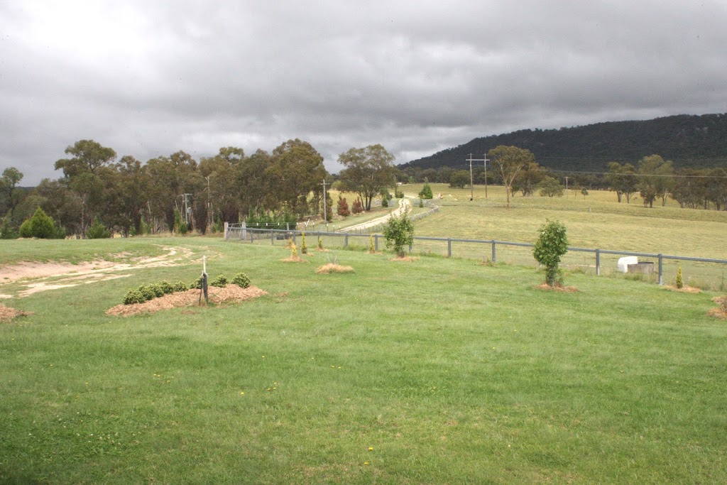 Donegal Horse and Farmstay Bed and Breakfast Tenterfield | 103 Sandy Flat Rd, Sandy Flat NSW 2372, Australia | Phone: 0429 626 215