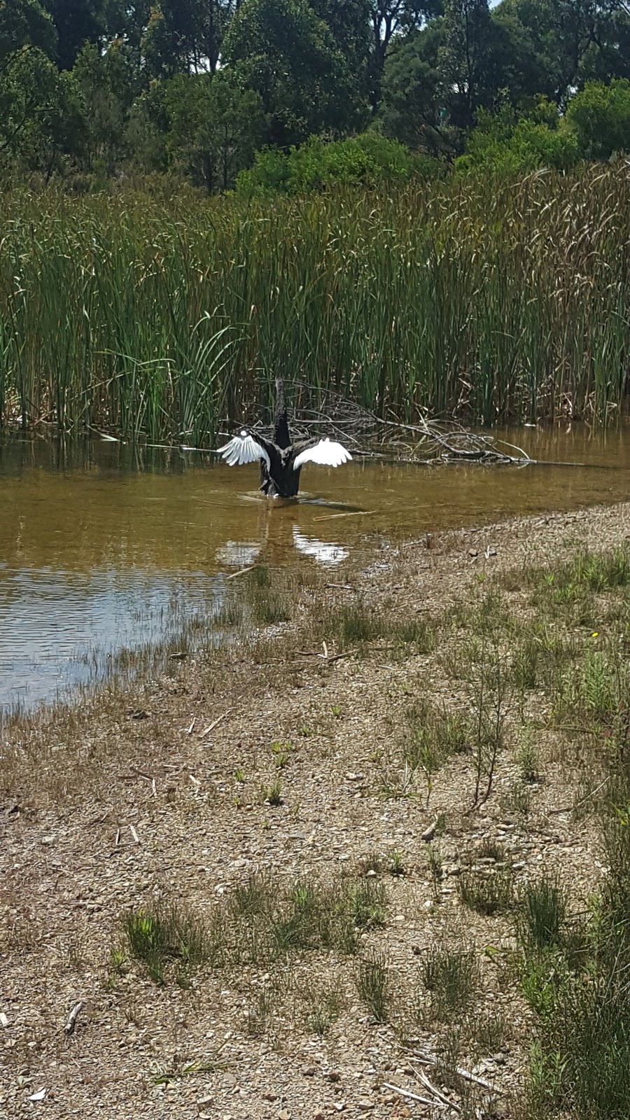 Devilbend Reservoir Melbourne Water | 470 Derril Rd, Moorooduc VIC 3933, Australia | Phone: (03) 5978 8234